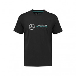 Mercedes-AMG Petronas...
